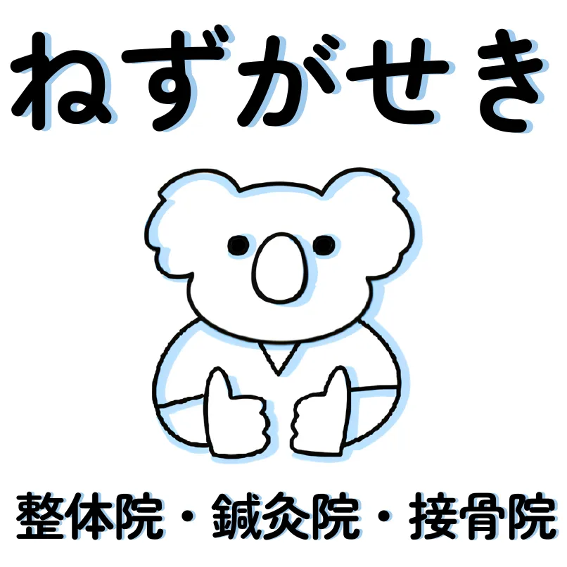 鶴岡市の整体院で骨盤の歪みを解消しよう！健康的な暮らしの第一歩